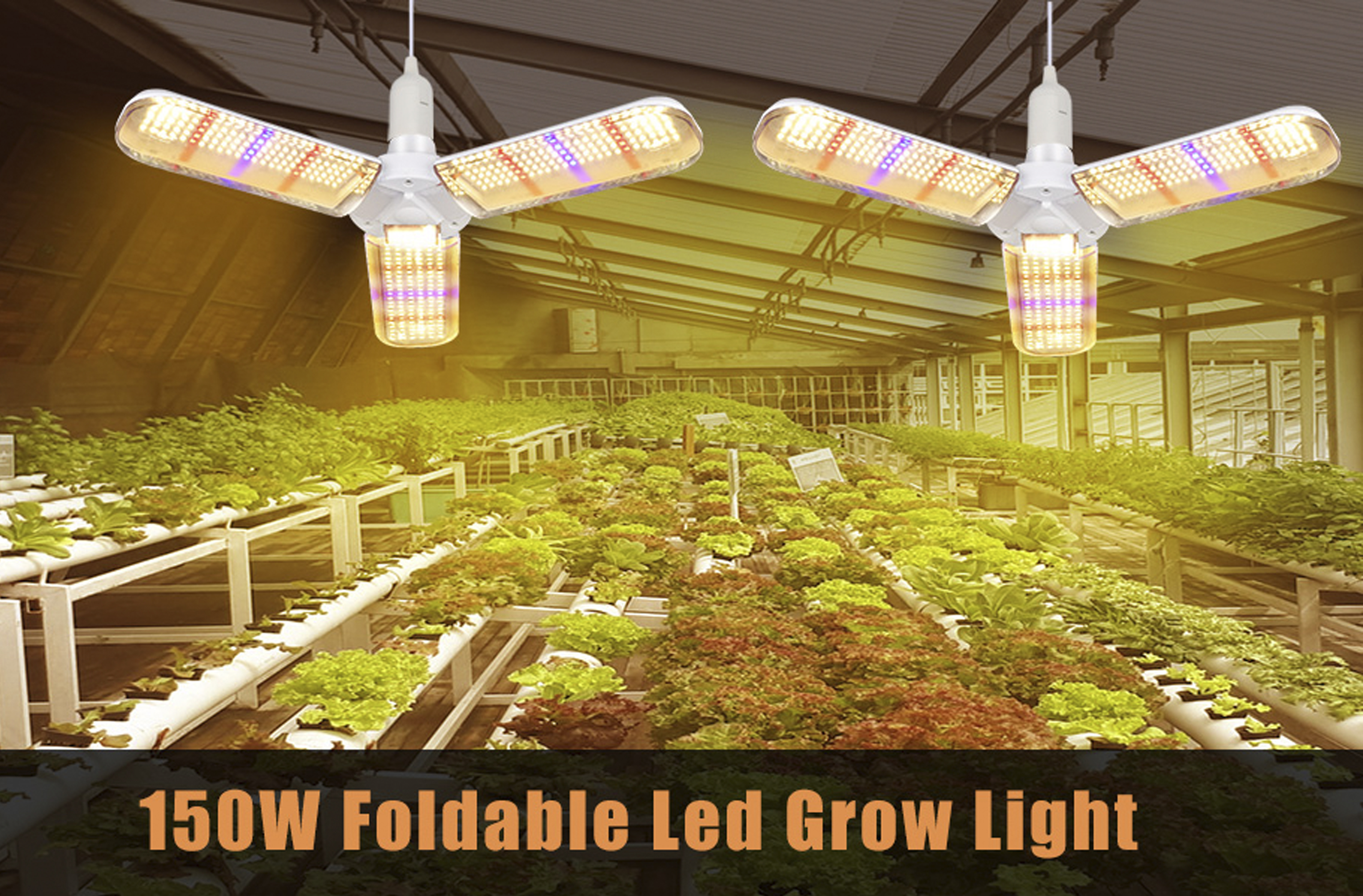 ROOMLUX brought out new plant lamp growth lamp